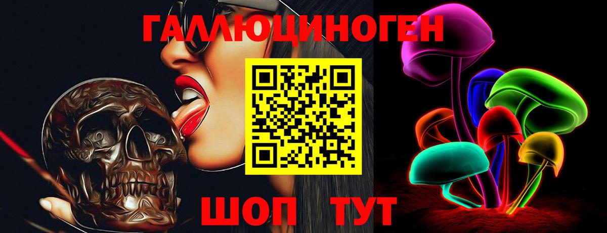 Псилоцибиновые грибы Cubensis Великий Новгород