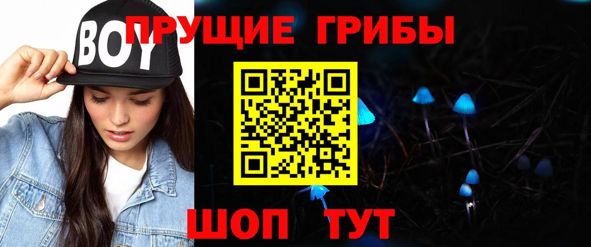 где можно купить наркотик  Галлюциногенные грибы Cubensis  Великий Новгород  Вход с VPN  Галлюциногенные грибы прущие грибы 